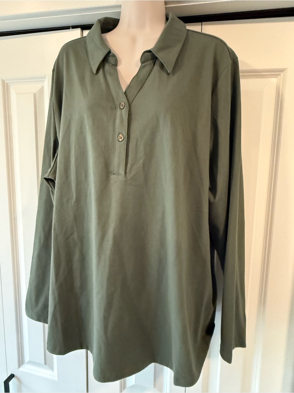 D & Co moss green polo long sleeve shirt 2X